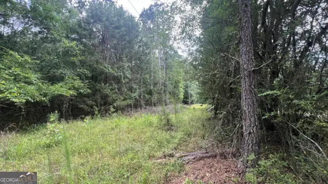 L-8 Strickland Road, Concord, GA 30206 - Image #2