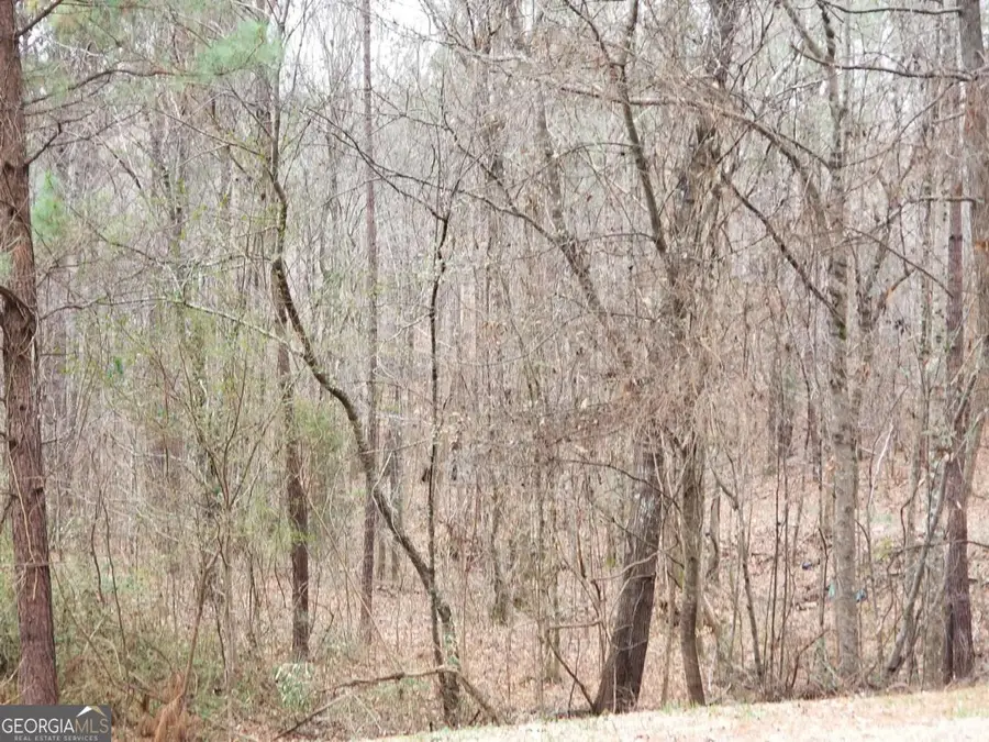 3310 & 3308 Bold Spring Drive Sw, Stockbridge, GA 30281 - Image #3