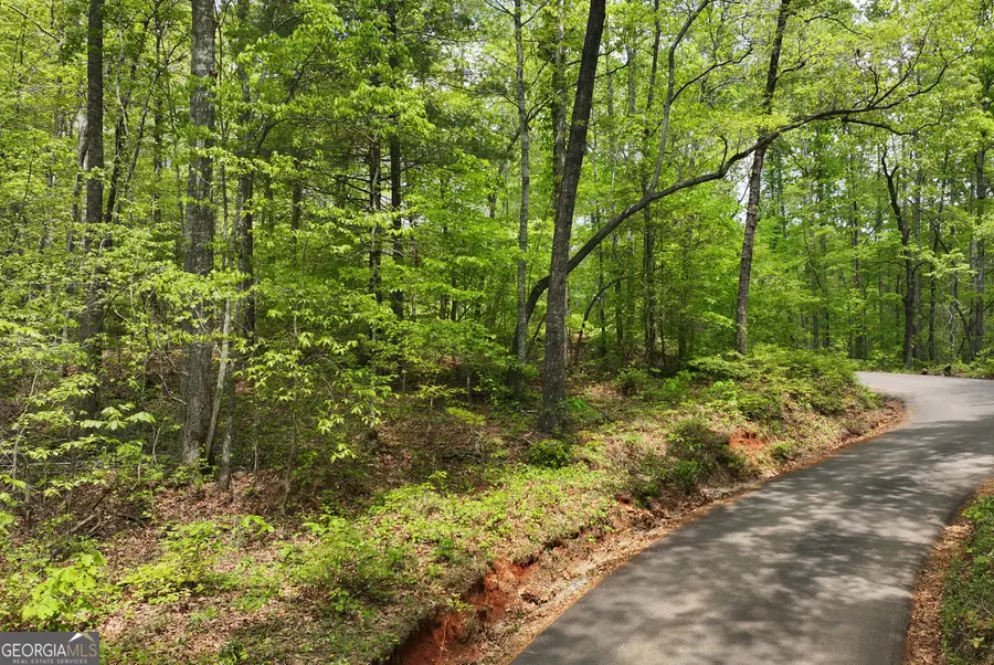 0 Lawrence Road, Dawsonville, GA 30534 - #2