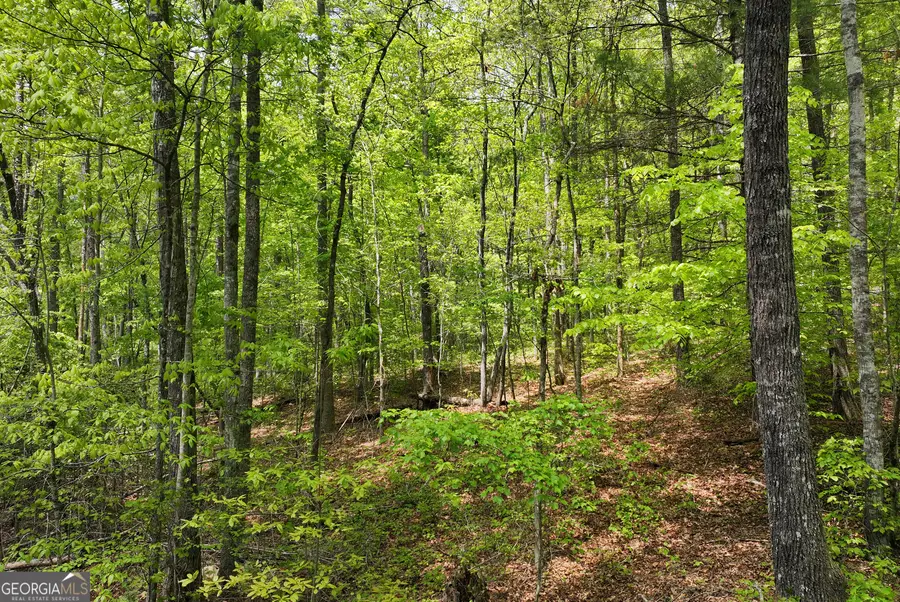 0 Lawrence Road, Dawsonville, GA 30534 - #3