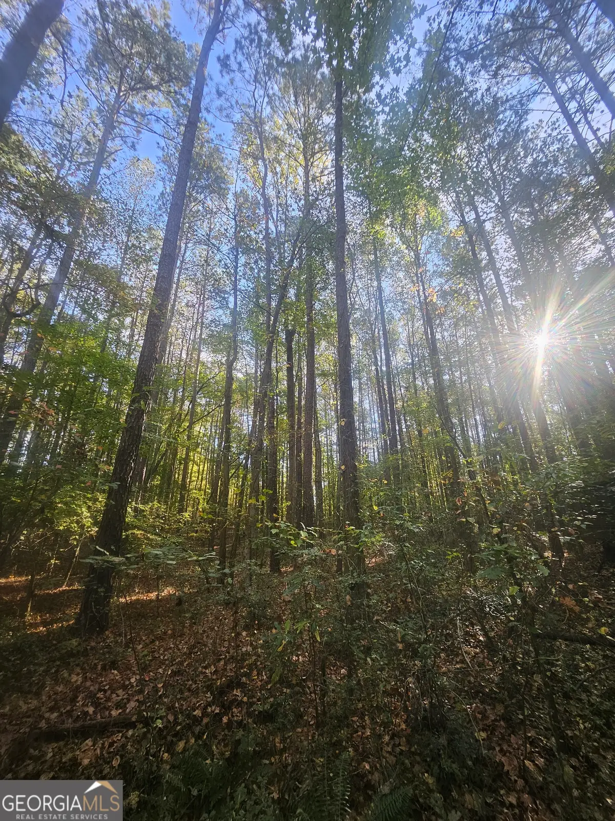 4861 Moon Road, Powder Springs, GA 30127 - Image #1