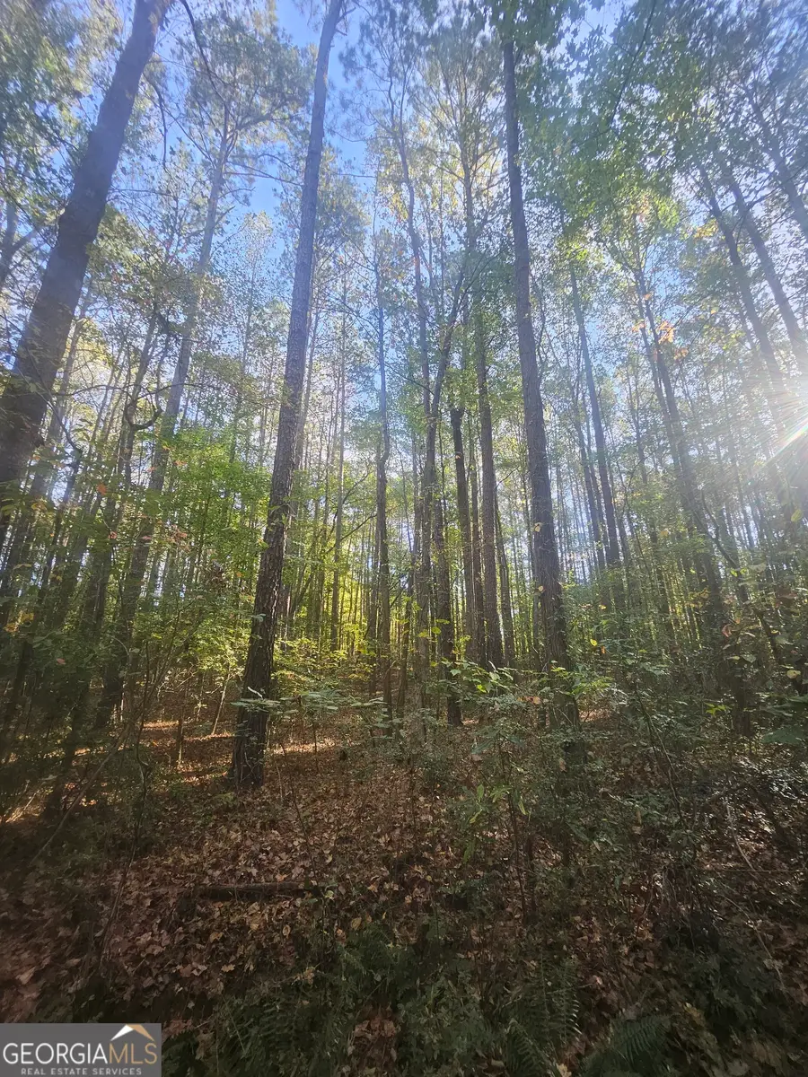 4861 Moon Road, Powder Springs, GA 30127 - Image #2