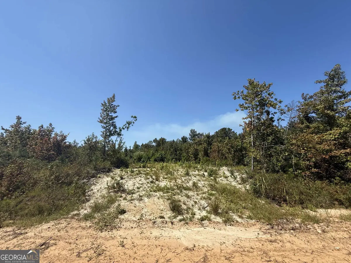 467 Alton Stewart, East Dublin, GA 31027 - Image #1