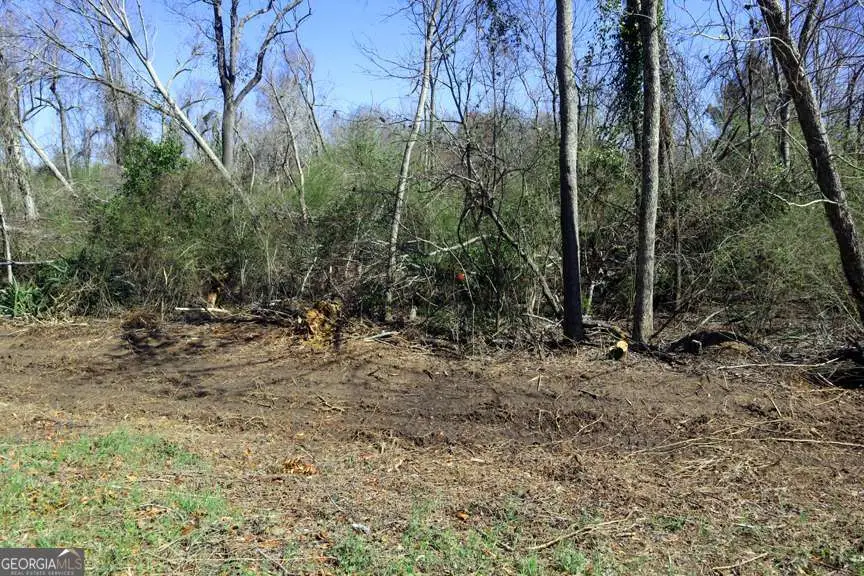 LT.1 Harrison Davisboro Road #1, Davisboro, GA 31018 - Image #1