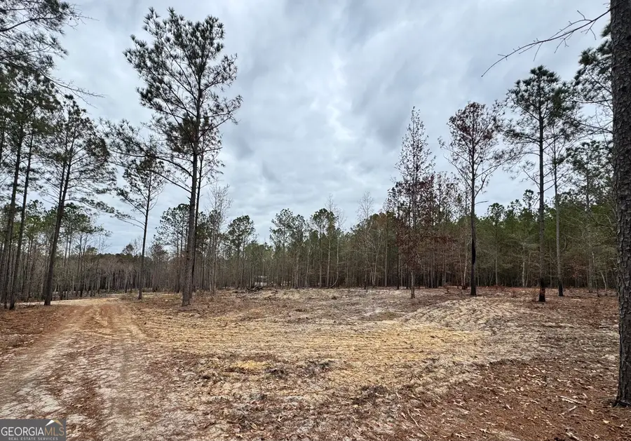 3479 Bastonville Road, Gibson, GA 30810 - Image #3