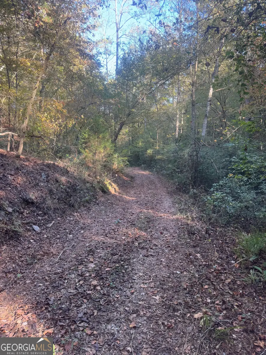 0 County Road 432, Woodland, AL 36280 - Image #3