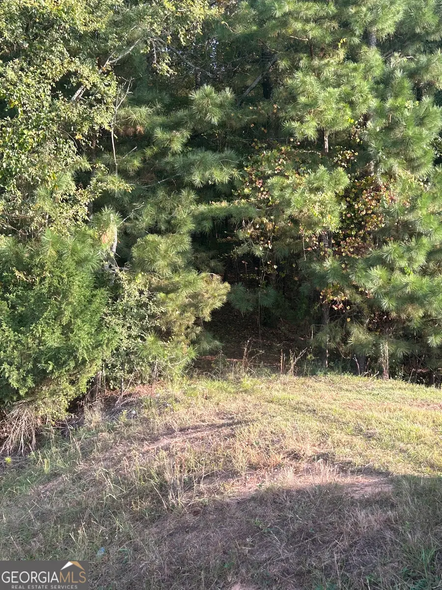 0 Athens Highway, Elberton, GA 30635 - Image #2