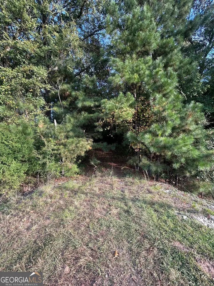 0 Athens Highway, Elberton, GA 30635 - Image #3