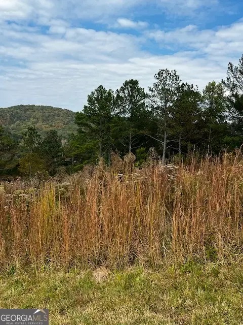 LOT 17 & LOT 18 Pinehurst, Blairsville, GA 30512 - Image #1