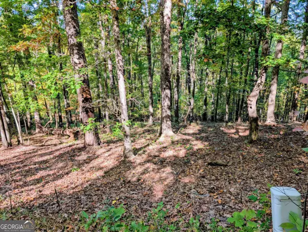 LOT 30 Rocky Knob Drive, Young Harris, GA 30582