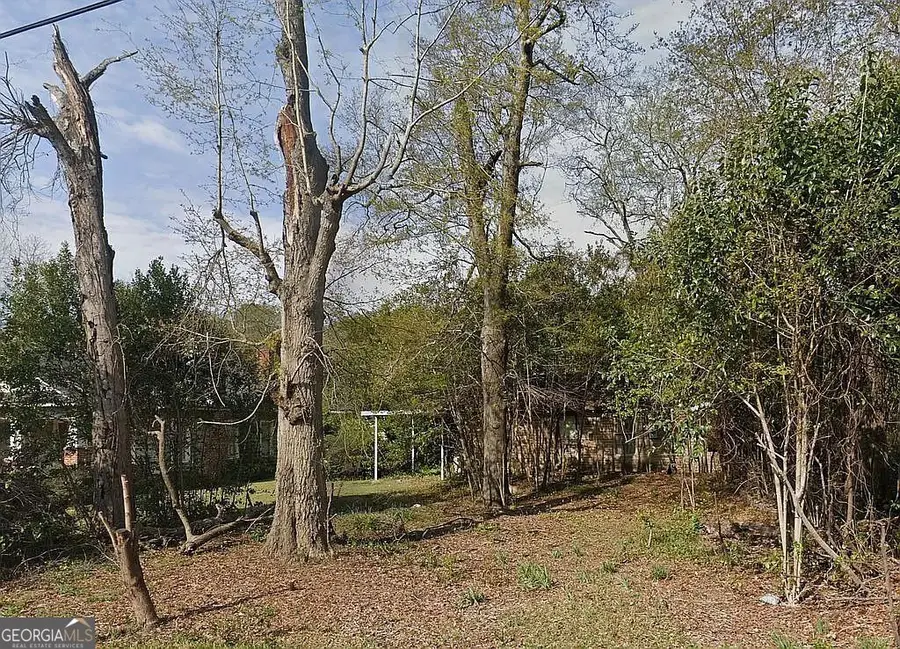 1055 Lamont Street, Macon, GA 31204 - #2