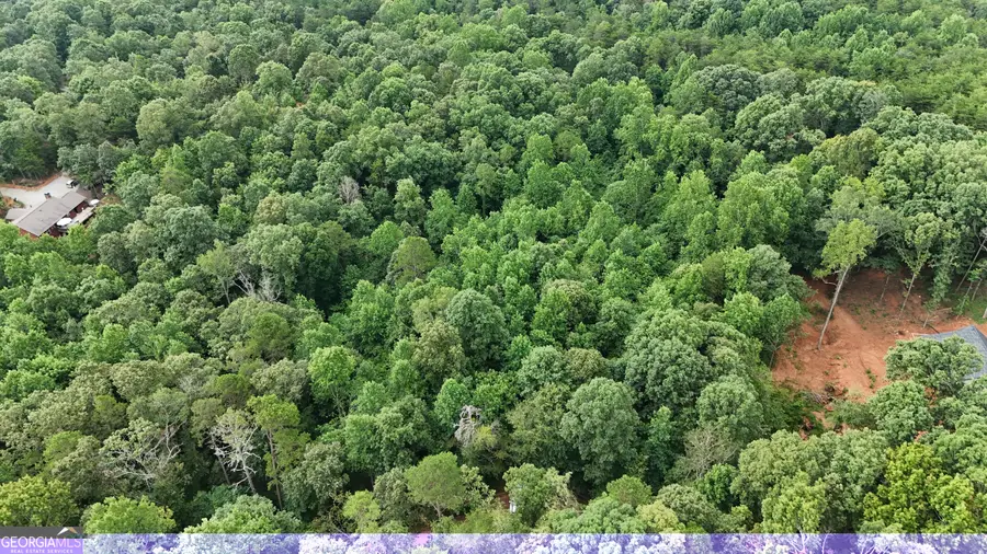 LOT 5 Fowler Creek Drive, Cleveland, GA 30528 - Image #3