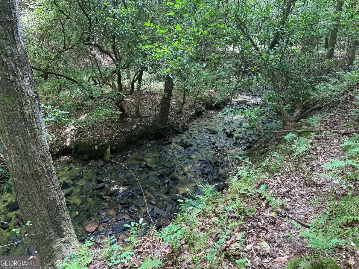 LOT 40 Wolf Creek Estates, Mineral Bluff, GA 30559 - Image #1