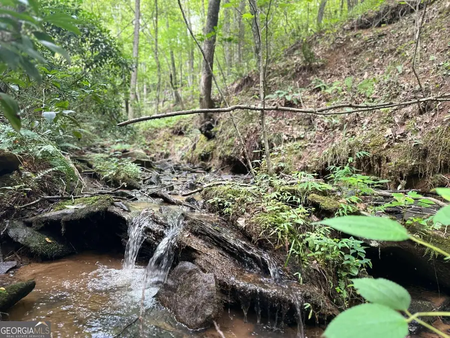 LOT 40 Wolf Creek Estates, Mineral Bluff, GA 30559 - Image #2