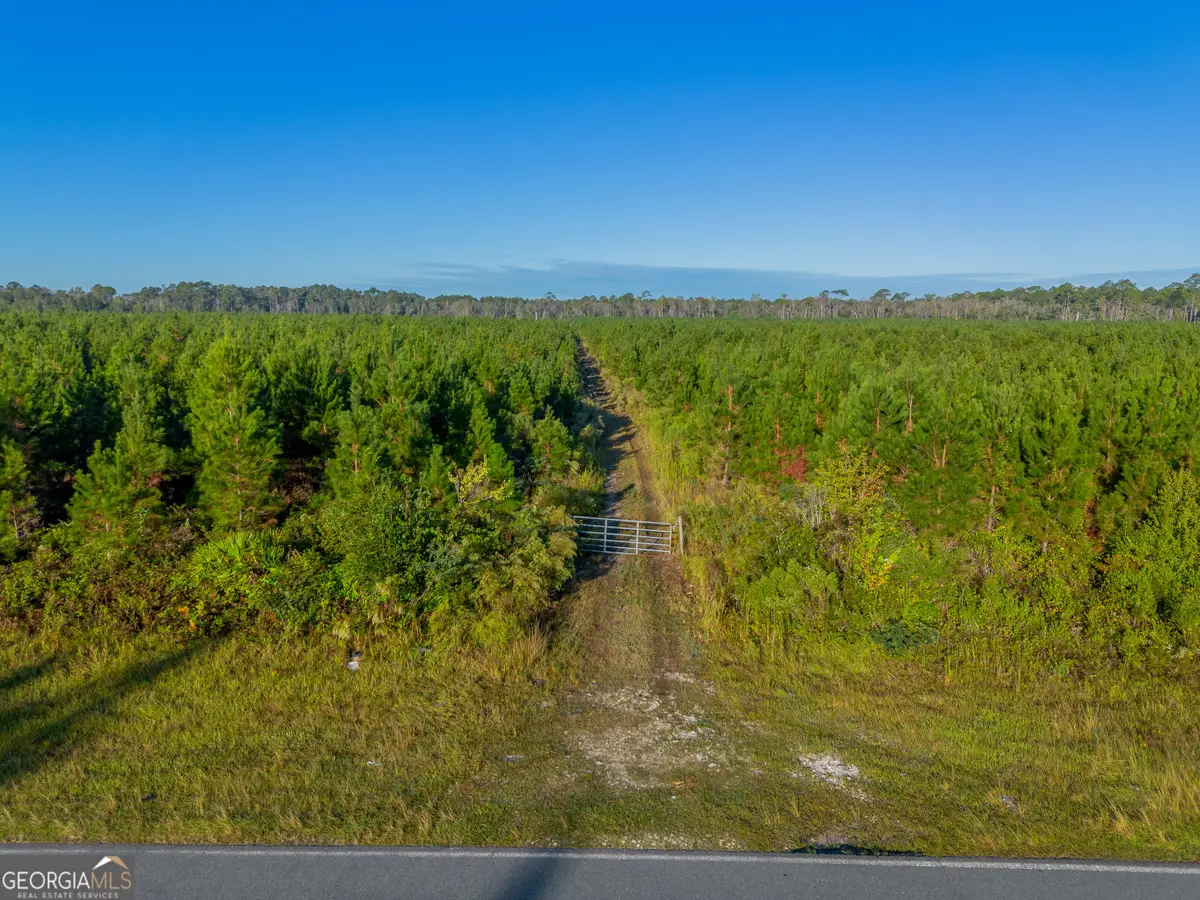 0 Anita South Street, Waycross, GA 31503 - Image #1