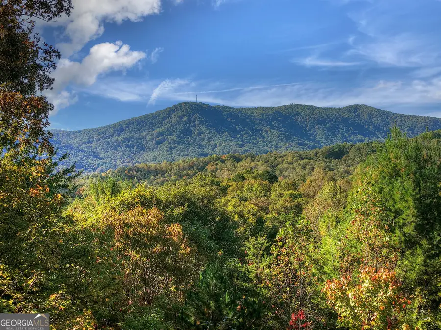 113 Deer Hunter Trail, Blue Ridge, GA 30513 - Image #3