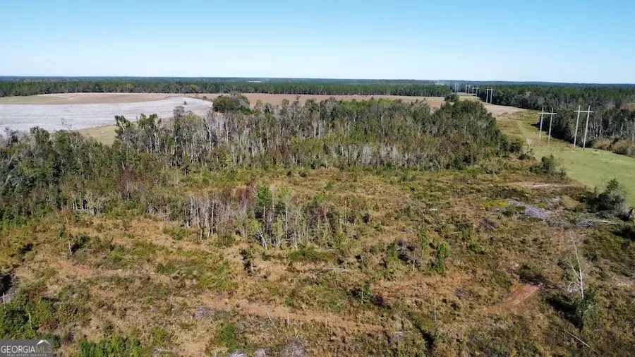 0 Bird Flanders Road, Swainsboro, GA 30401 - Image #1