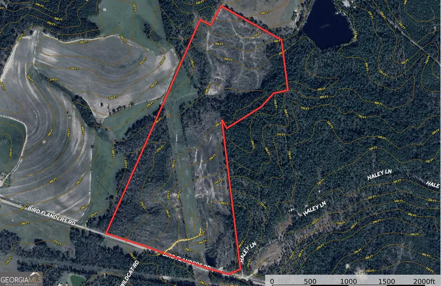 0 Bird Flanders Road, Swainsboro, GA 30401 - Image #2