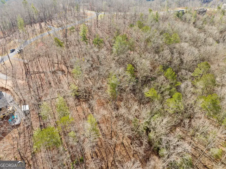 LOT 33 S Jakes Landing Way, Ellijay, GA 30540 - Image #3