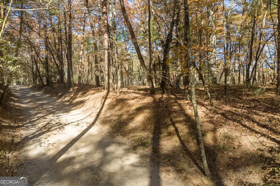 TR 2 Old Anderson Creek, Ellijay, GA 30536 - Image #3