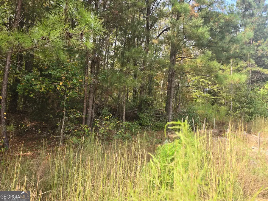 188 Belford Way, Jackson, GA 30233 - Image #2