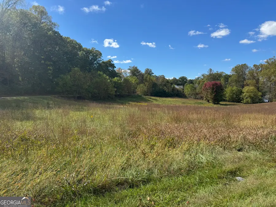 1402 Holly Point Drive, Hiawassee, GA 30546 - Image #2