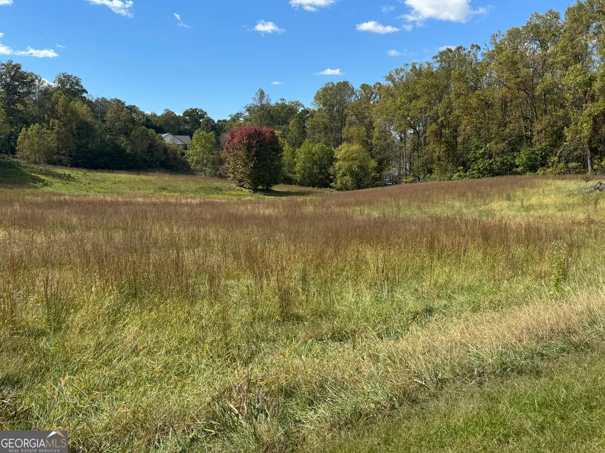 1288 Cedar Cliff Road, Hiawassee, GA 30546 - Image #1