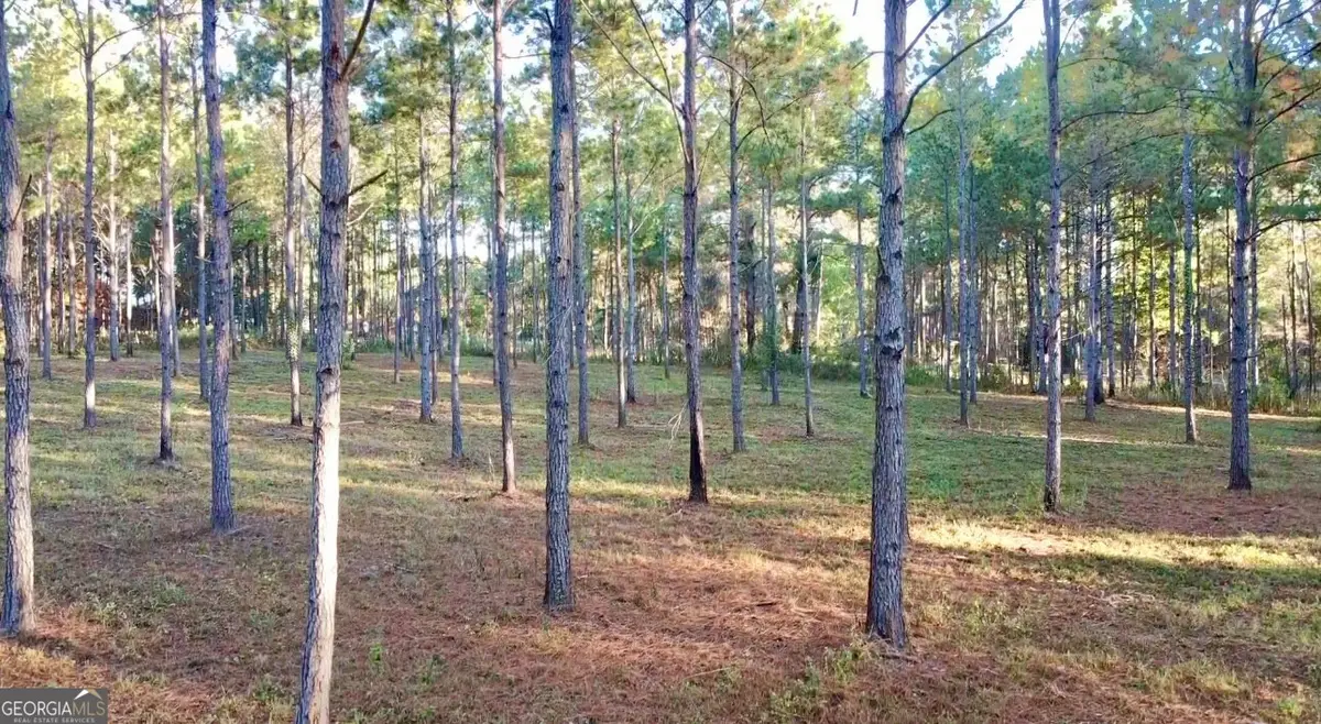 0 Collins Road, Cairo, GA 39828 - #1