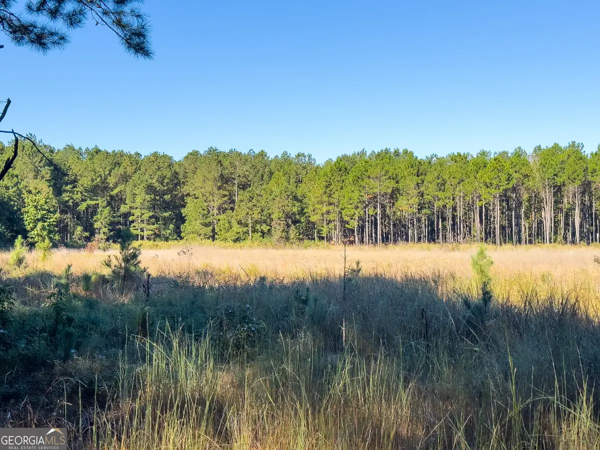 0 Penn Lane, Waynesboro, GA 30830 - Image #1