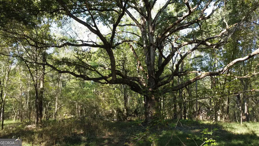 0 Holiness Campground Road, Cleveland, GA 30528 - Image #2
