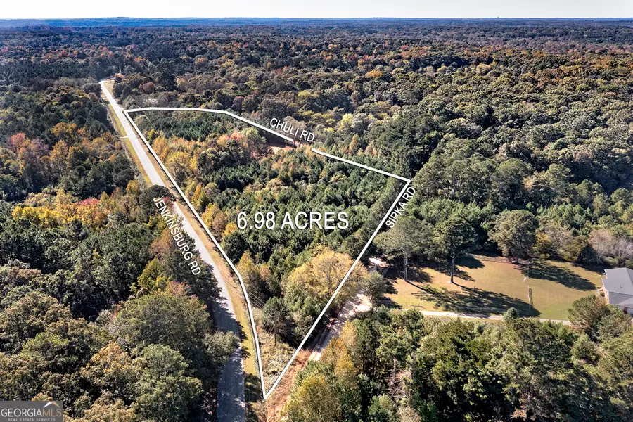 667 Jenkinsburg Road, Locust Grove, GA 30248 - Image #2