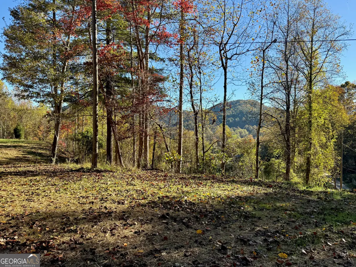 0 Zoellner Lane, Dillard, GA 30537 - Image #1