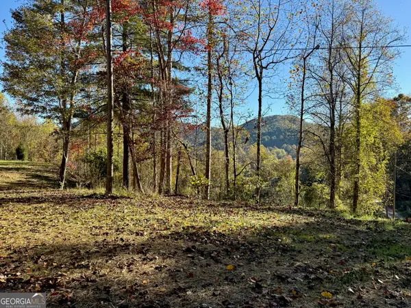 0 Zoellner Lane, Dillard, GA 30537