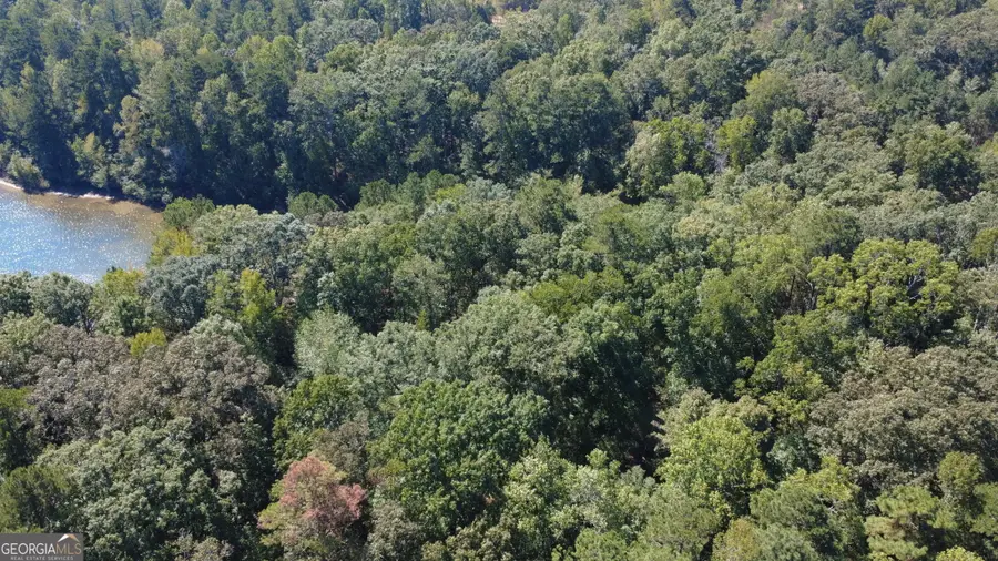 739 Giverney Way, Fairburn, GA 30213 - Image #3