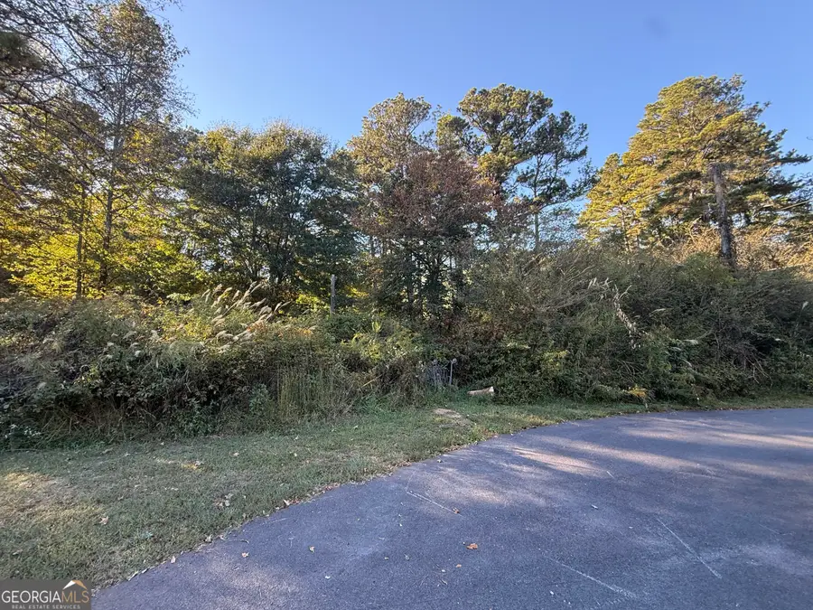 10 S Villa Road, Villa Rica, GA 30180 - #3