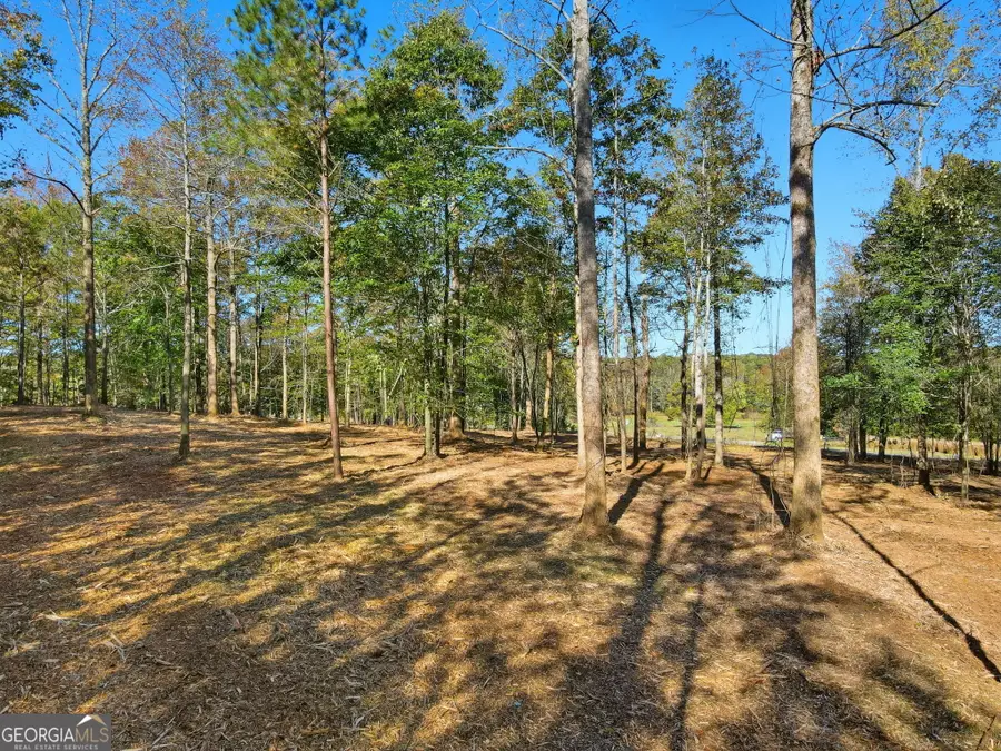 13630 Birmingham Highway, Alpharetta, GA 30004 - #3