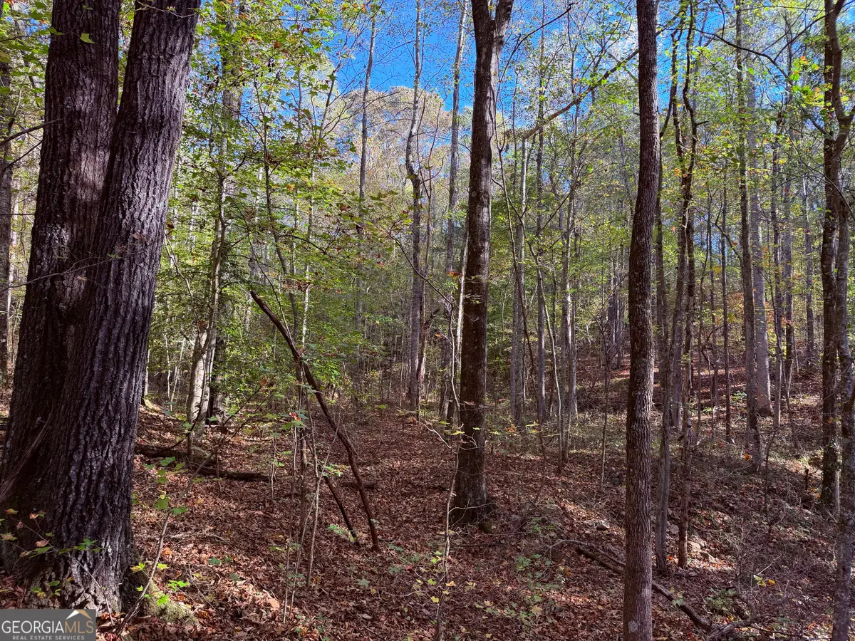 1001 Whooping Creek Road, Carrollton, GA 30116 - Image #1