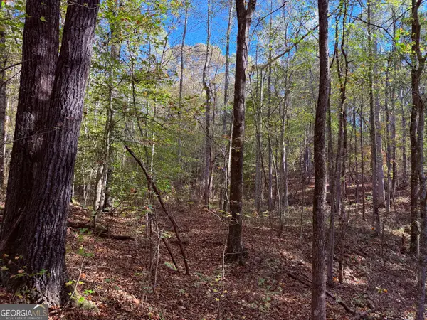 1001 Whooping Creek Road, Carrollton, GA 30116