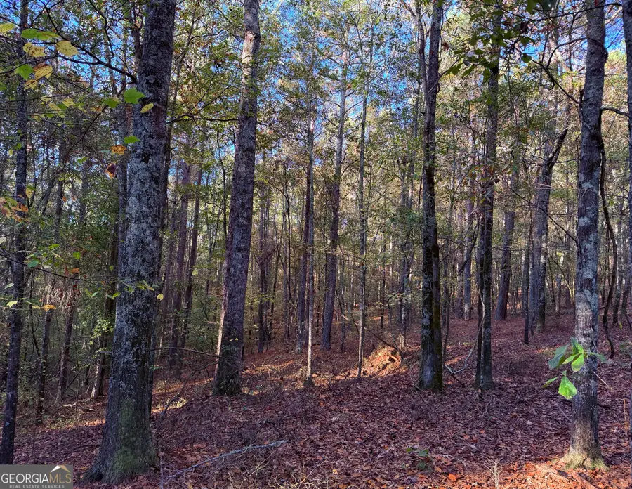 1001 Whooping Creek Road, Carrollton, GA 30116 - Image #2