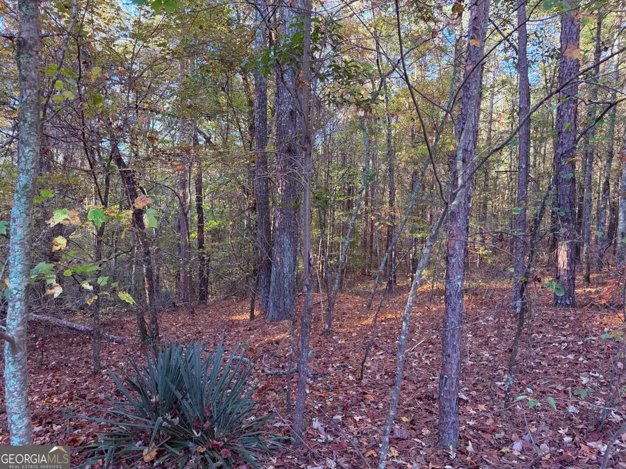 1001 Whooping Creek Road, Carrollton, GA 30116 - Image #3