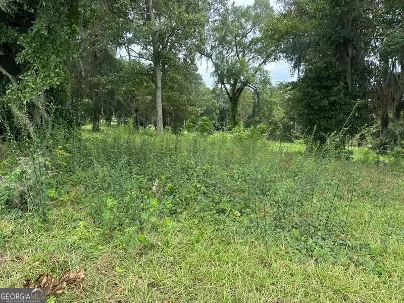 2 Flintview Drive, Cordele, GA 31015 - Image #2