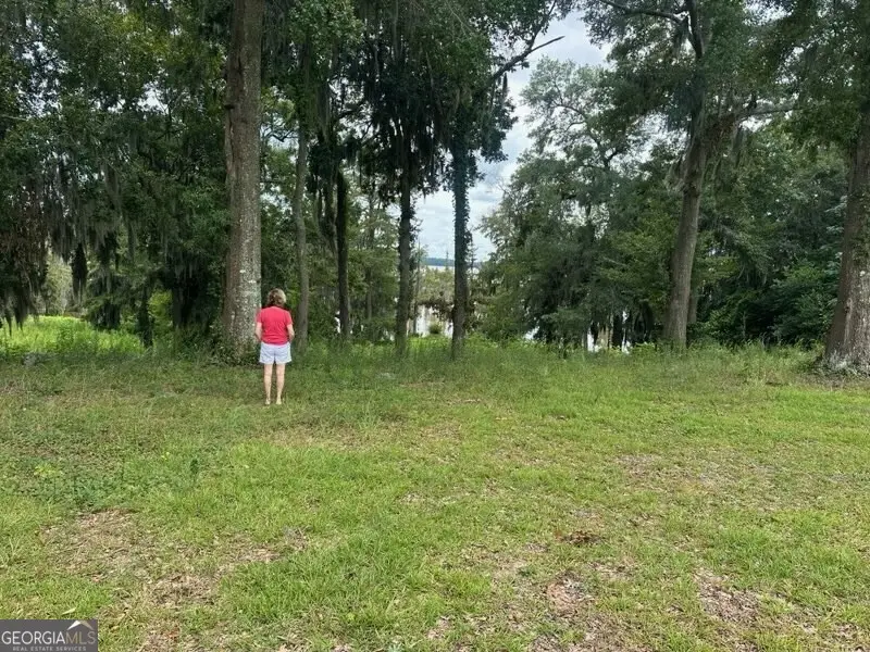 4 Flintview Drive, Cordele, GA 31015 - Image #1