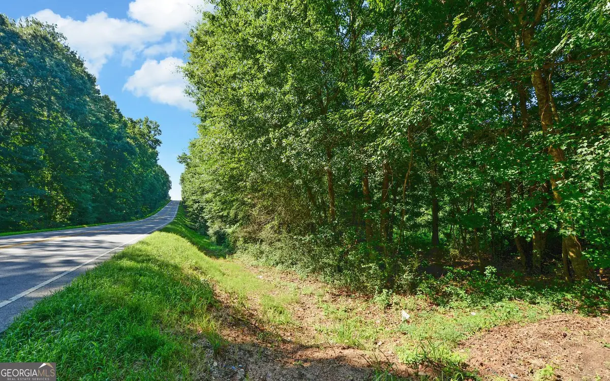 0 Hwy 17, Royston, GA 30662 - #1