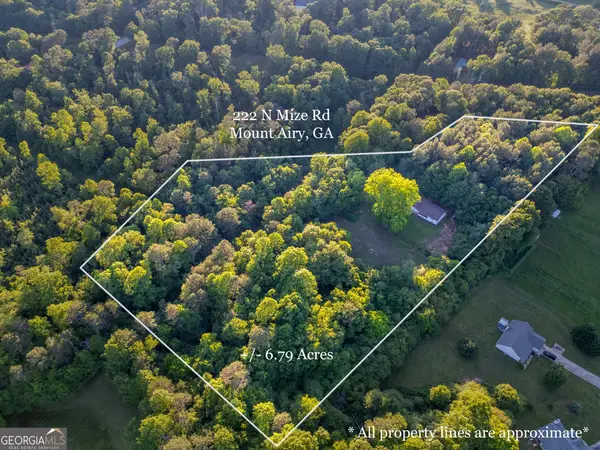222 N Mize Road, Mount Airy, GA 30563