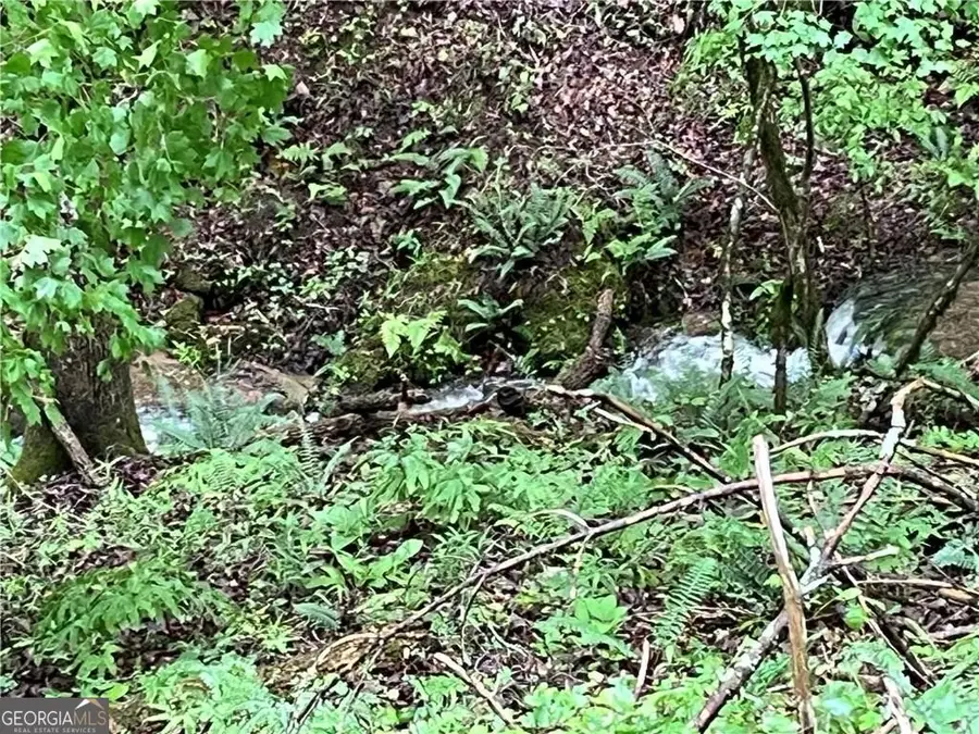 1720 Rebekah Ridge Road, Talking Rock, GA 30175 - Image #3