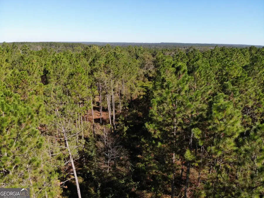 1701 E Golden Isles Highway, McRae-helena, GA 31055 - Image #3