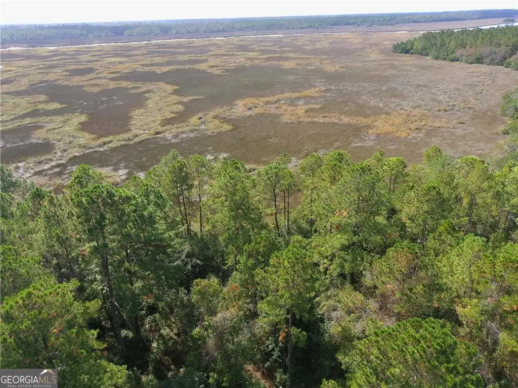 0 Confederate Point Drive, White Oak, GA 31568 - Image #1