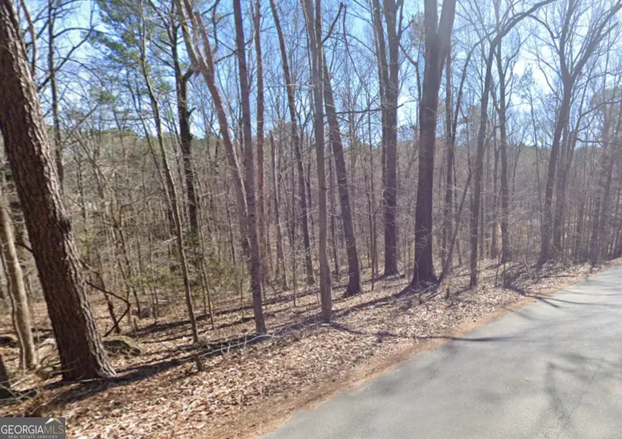 0 E Mourning Dove Court #LOT 5, Monticello, GA 31064 - Image #2