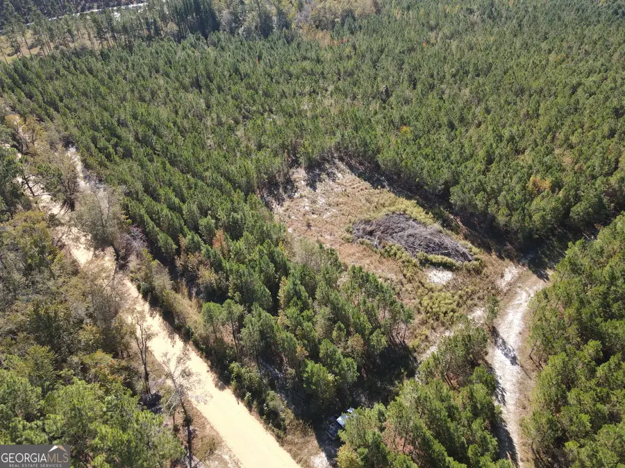 1073 Hawhammock Road, Swainsboro, GA 30401 - Image #2