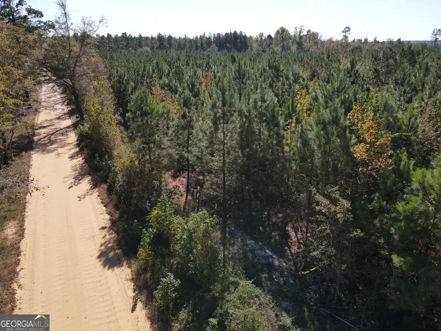 1073 Hawhammock Road, Swainsboro, GA 30401 - Image #3